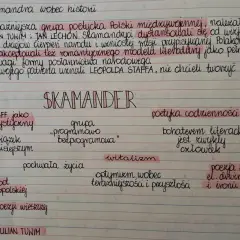 Notatki o Skamandrze: cechy awangardy krakowskiej, poetyka codzienności, witalizm, odcięcie od romantyzmu.