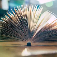 Jak literatura ukazuje problemy egzystencjalne i polityczne w życiu człowieka