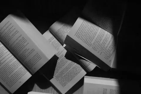 Co to jest literatura piękna – definicja, cechy i przykłady dzieł
