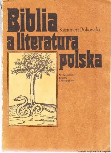Zdjęcie Czy Biblia to literatura? Analiza jej cech i wpływu na kulturę